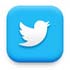 Twitter Icon